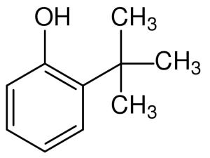 Wholesale Organic Intermediate: Ortho Tertiary Butylphenol (OTBP)