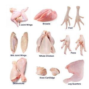 Wholesale tris: Cheap Premium Brazil Chicken Paw/Feet/Wings  From SIF & AQSIQ Approved Brazil Chicken Manufacturer