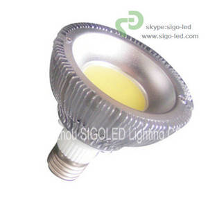 Wholesale 15w e27 led: LED Par Light