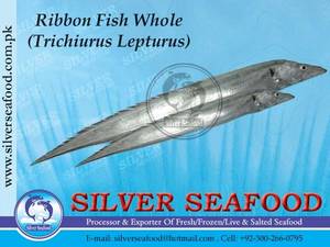 Wholesale aquatic: Ribbon Fish