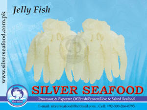 Wholesale Other Fish & Seafood: Jelly Fish.Rhopilema Sp