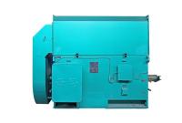 Top Grade High Voltage Simo 3000rpm 220kw Electric Motor for Crusher