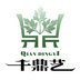 Chengdu Qian Dingyi Technology Co., Ltd. Company Logo