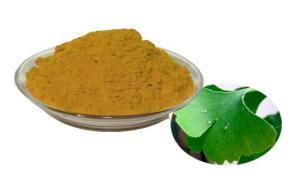 Wholesale colour cosmetic: Ginkgo Biloba Extract USP38