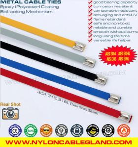 Wholesale printed tie: Premium Polyester PVC Epoxy Plastic Coated Stainless Steel 316L, 316, 304 Cable Ties Straps Wraps