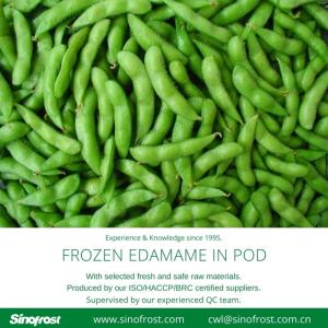 Wholesale green bean: IQF Edamame,Frozen Edamame,IQF Green Soya Beans,Frozen Green Soya Beans