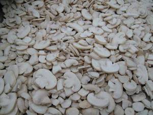 Wholesale oyster mushroom: IQF Champignon Mushrooms ,Frozen Mushrooms,IQF Mushrooms,Slices/Wholes