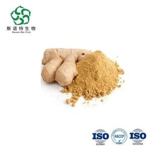 Wholesale ginger powder: Ginger Extract Gingerols