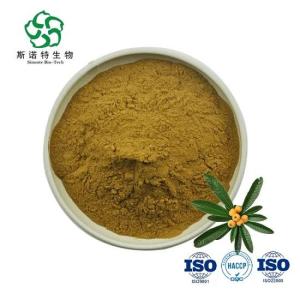 Wholesale muscle building: Loquat Leaf Extract Ursolic Acid