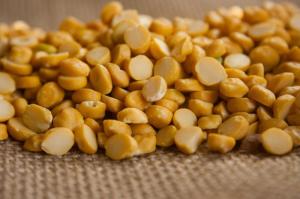 Wholesale split bengal gram: Split Chickpeas Chana Dal