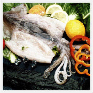 Wholesale Fish & Seafood: Frozen Pacific Squid