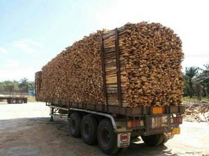Wholesale wood: Rubber Fire Wood