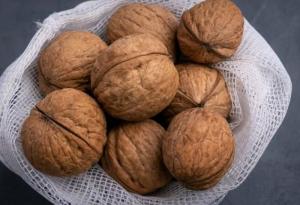 Wholesale Nuts & Kernels: Walnuts