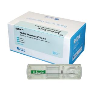 Wholesale elisa kits: RIDX Bovine Brucella AB Rapid Test Kit
