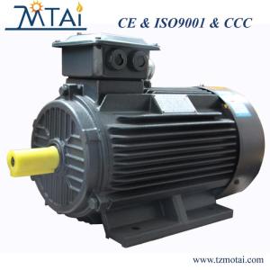 Wholesale y electric motor: Y Series Cast Iron Housing Three Phase Asynchronous Industry Electric Motor