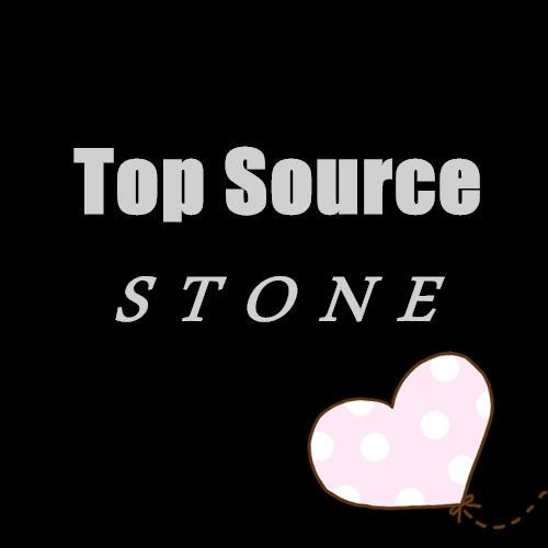 Baoding Top Source Trade Co.,Ltd. Company Logo