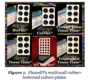 Wholesale cell phone case: Flexcell Culture Plates,BioFlex Plates,BF-3001C