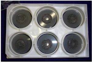 Wholesale i: Flexcell ,Flexercell BioFlex Culture Plates,BF-3000C