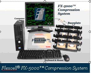 Flexcell FX-5000 Compression System(id:7953940) Product details - View  Flexcell FX-5000 Compression System from BIO EXCELLENCE INTERNATIONAL Tech  Co.,Ltd - EC21 Mobile