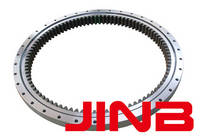 INA Slewing Ring Bearing with Flange Turntable Bearing
