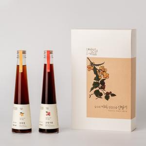 Wholesale fruit syrup: Fruit Syrup Gift Set 1