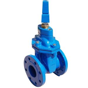 Wholesale resilient seated: Double Flanged Resilient Seated Gate Valve