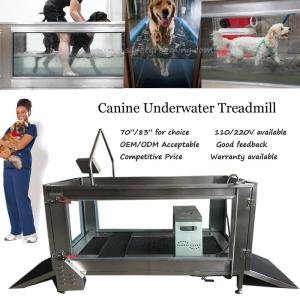 Wholesale exercise plate: Canine Hydrotherapy Water Treadmill Multifunctional of High Quality At Very Competitive Pirce