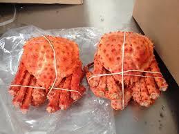 Wholesale 2 years: Fresh Red King Crab Fresh/Frozen/Live Red King Crabs, Soft Shell Crabs, Blue Swimming Crabs & Snow