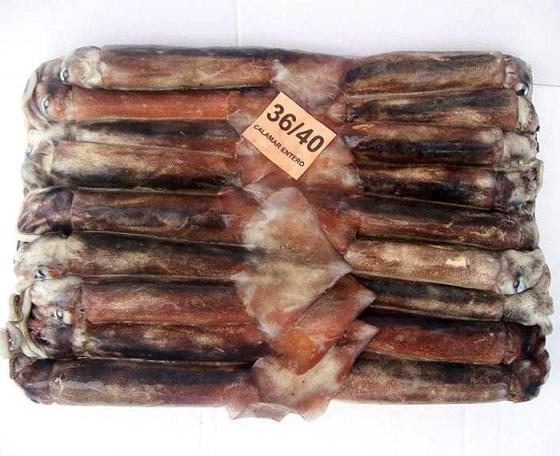 Good Quality Frozen Squid Bait 100-150g Board Frozen Argentina Illex
