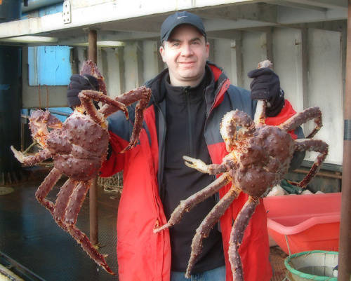 Sell red king crab