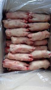 Wholesale frozen pork front: Frozen Pig Front Feet, Pork Hind Feet