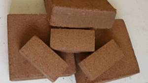 Wholesale coco peat india: Coco Peat Briquettes