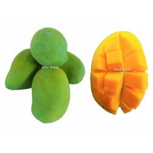 Wholesale soft drink: Mango