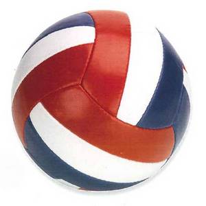Wholesale free shipping: Volleyball Promotional
