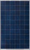 Sell 250W poly solar panel 