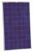Sell stock solar panel 250W POLY in Europe/ solar system