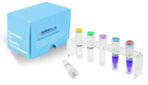 Wholesale m: DiaPlexC M.Avium / M. Intracellulare Detection Kit