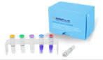 Wholesale antibiotics: DiaPlexC CRE Detection Kit