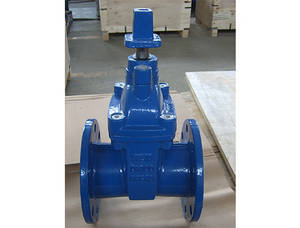 Wholesale flanged ends: Flanged End Gate Valve