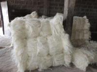 Sell   SISAL FIBER UG GRADE A (100KG/250KG BALES)