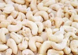 Wholesale Cashew Nuts: Cashew Nuts 240,WALNUTS,BETEL NUTS,MACADAMIA NUTS,ALMOND NUTS