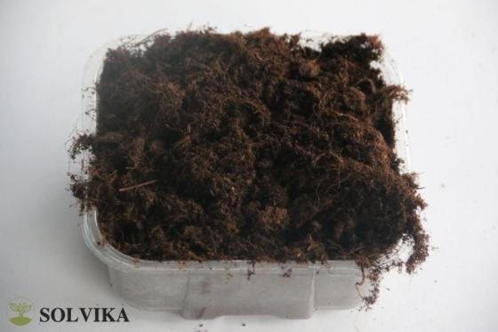 Low Market Price Sphagnum Substrate Garden Peat Moss for Seeds and