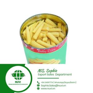 Wholesale baby food: Canned Whole Baby Corn/ Young Corn Whole Spears