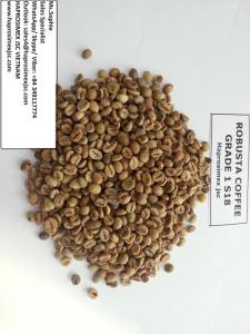 Wholesale max: Vietnam Robusta Coffee Beans S18