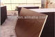 Sell marine plex plywood