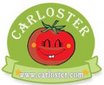 Carloster Group Co.,Ltd Company Logo