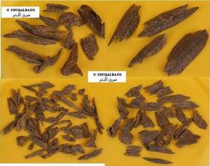 Wholesale agarwood: Agarwood Chips