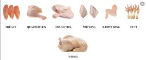 Wholesale halal frozen chicken: Halal Frozen Chicken Cuts