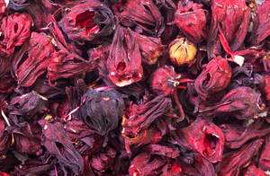 Wholesale powder: Hibiscus (ISO CERTIFIED)