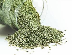 Wholesale alfalfa grass: Fennel Seeds